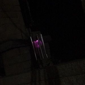 Meet your Posher, Zoe